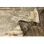 Rapture Contemporary Sublime Silver Gray/Lemon Yellow Area Rug-53926710