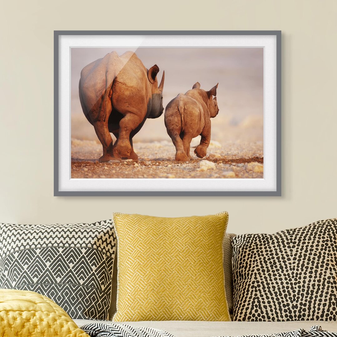 Gerahmtes Poster Wandering Rhinos