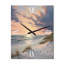 Coucher de soleil rose pastel doux sur la plage Ocean Serenity-99638514