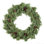 BLUE POINT JUNIPER WREATH