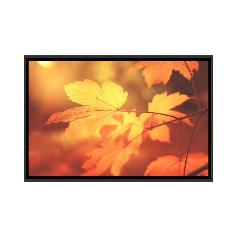 Autumn Leaves Have Arrived by Philippe Sainte-Laudy - Print on Canvas, Black Framed, 66.04 cm H x 45.72 cm W