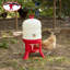 Plastic 10 Gallons Waterer