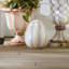 Violet Stripe Medium Egg