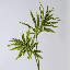 Tige de Dracaena panachée - 31,5 po-224785587