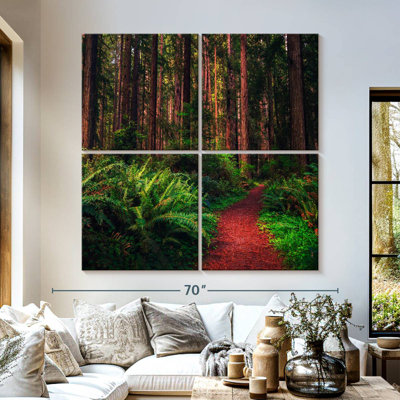 Alvord Redwood Forest Trail