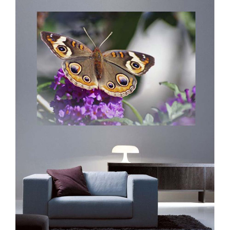 Adhésif décoratif papillon II, H 34,5 po x l 48 po x P 0,1 po