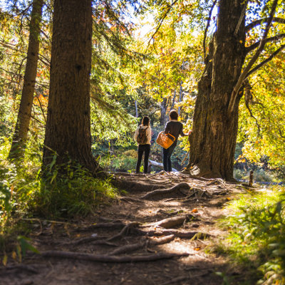 Two Teenager Girl In The Forest by Alex Potemkin - No Frame Art Prints on Canvas