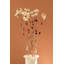  Ensemble de 12 plantes botaniques sur fond de bambou H 56 "avec Magnolia