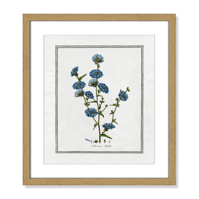 Colombe "Soft Botanical I" Print