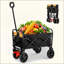 Mini chariot de plage pliable