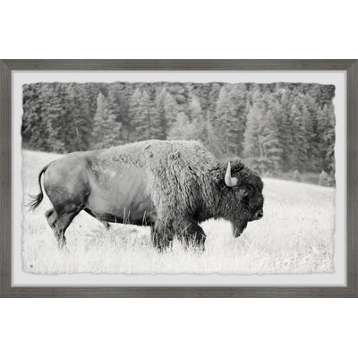 1 Piece Single Picture Frame Wall Art