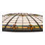 Dome Lamp Shade