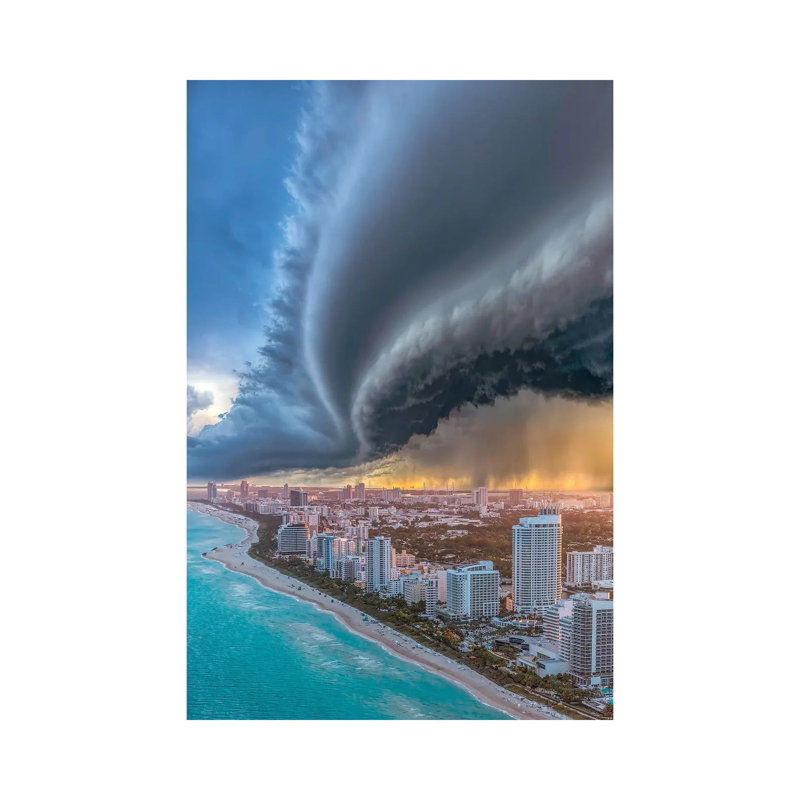 Miami Shelf Shelf Cloud 2.0, 20.32 cm H x 30.48 cm W