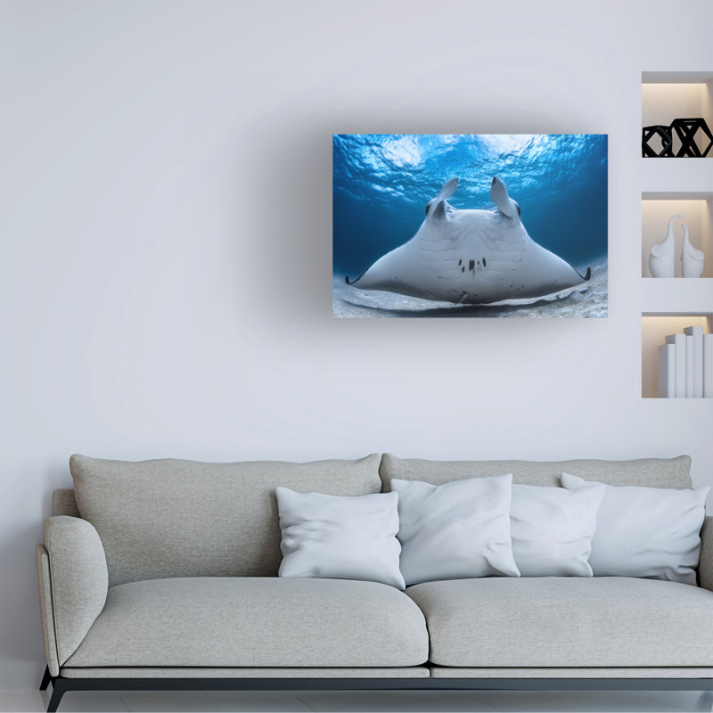 Art sur toile Barathieu Gabriel Take Off Manta, H 12 po x l 19 po