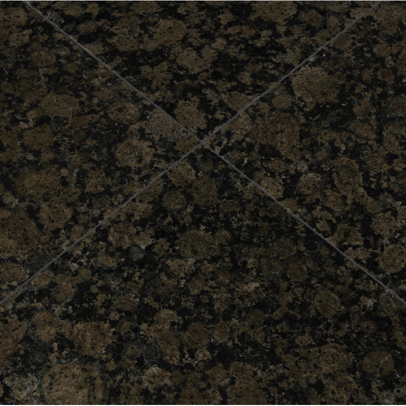 Baltic Brown 12 in.x 12 in. Polished Granite Floor and Wall Tile