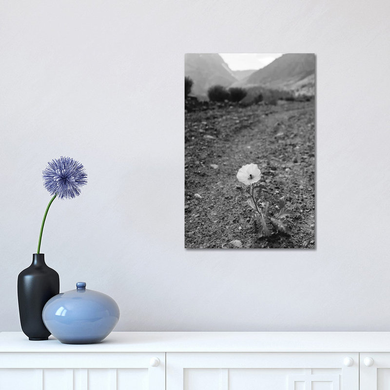 Monochrome Yosemite Bloom by Bethany Young - Print on Canvas, 45.72cm H x 30.48cm W x 1.91cm D, Wrapped Canvas