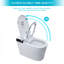 Toilette intelligente avec bidet intégré