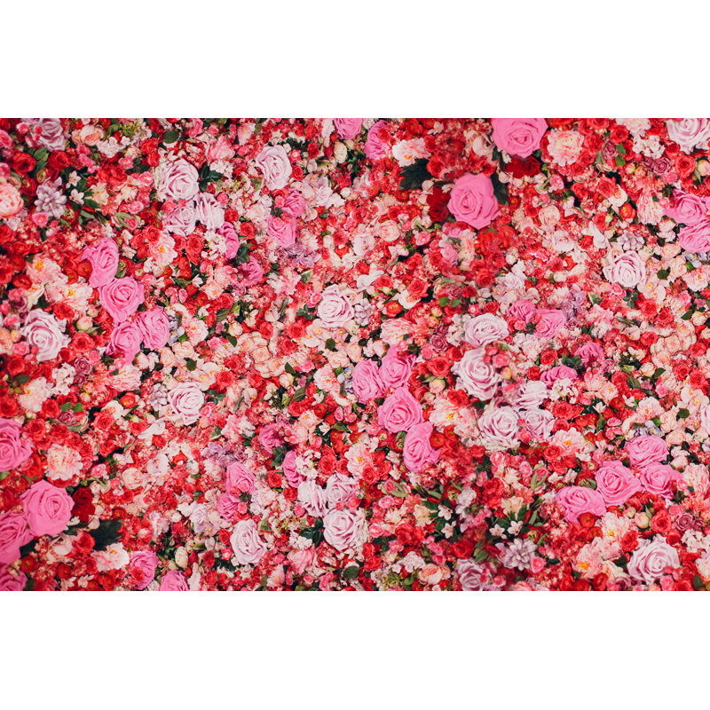 Mur de roses rouges et roses. «Many Flowers» - Photographie sur toile tendue, H 8 po x l 12 po