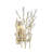 Orianna 2-Light Wall Sconce in Noble Brass