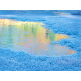 Frozen Autumn Pond Print by Bruce Heinemann