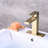 Single-handle Bathroom Faucet with Drain Assembly-100754282