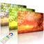 Rooted Strong Tree At Sunset by No - Wrapped Canvas Print-49671811-49671813