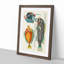 East Indies Fish Illustrations XXXI by Louis Renard - Picture Frame Graphic Art Print-55537171-55537172