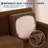 Pizarro Box Cushion Loveseat Slipcover-1232154969