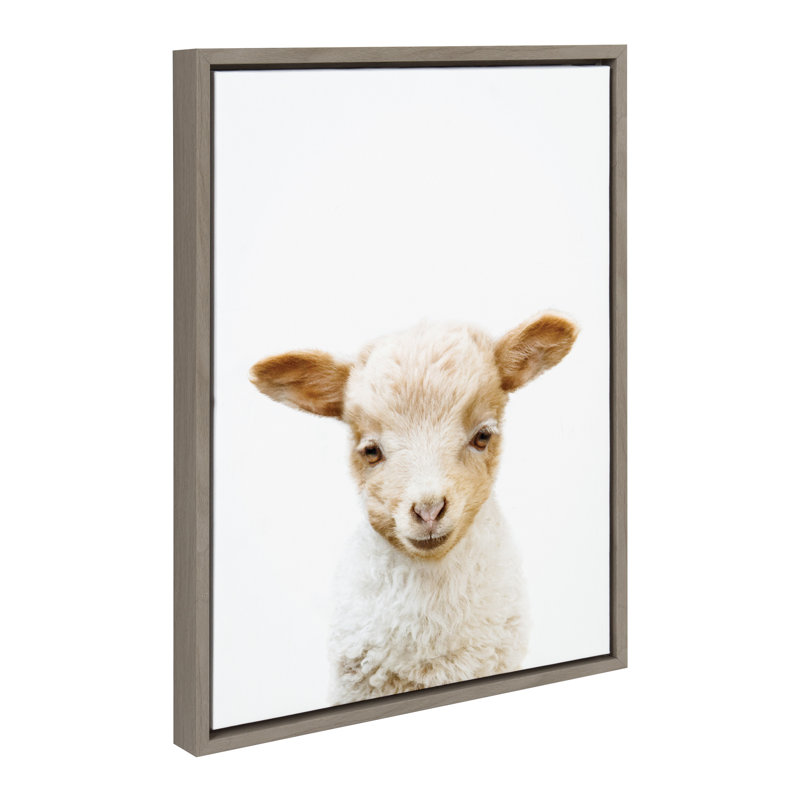 "Animal Studio Lamb" par Amy Peterson, reproduction d'art sur toile encadrée, Cadre gris