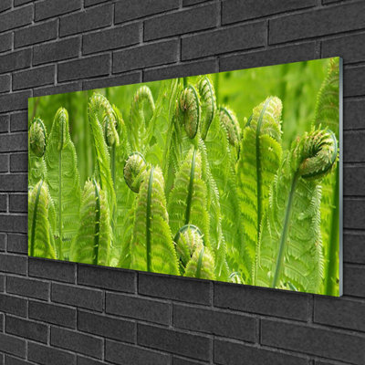 Floral Plants 1 Piece Wall Art on Glass