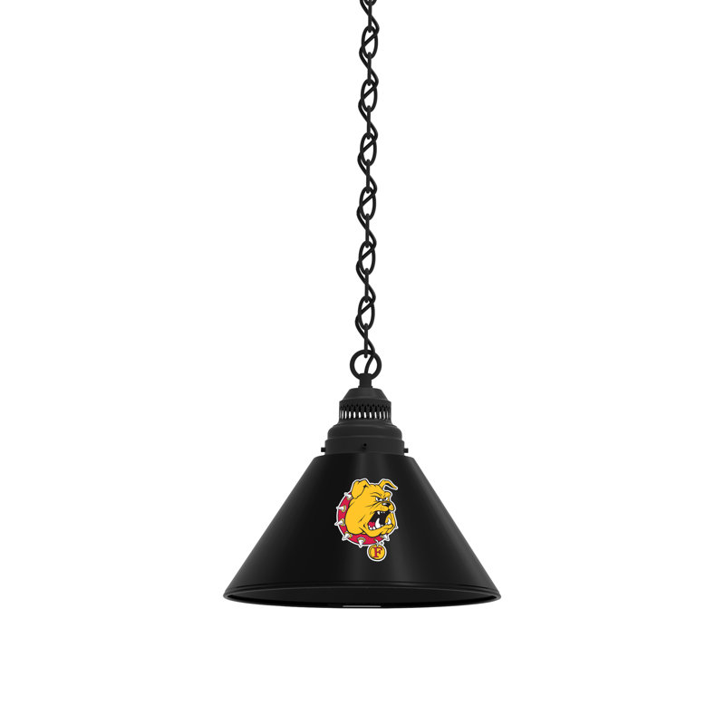 1 - Light Single Pendant, Black, Ferris State Bulldogs