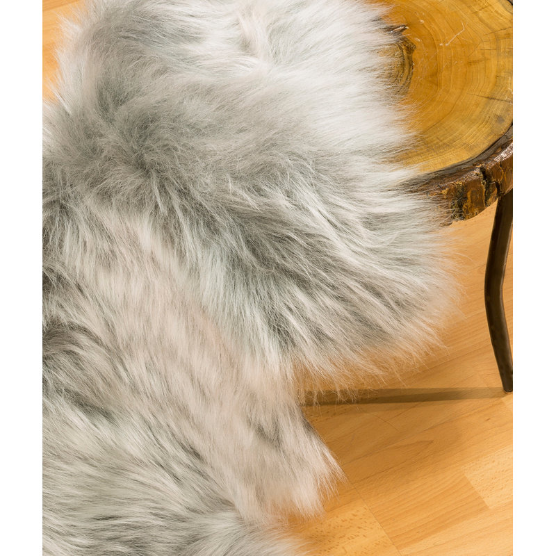 Tapis gris / beige en polyester tissé à la machine Novelty Supriya, Nouveauté 2 pi 6 po x 3 pi 3 po