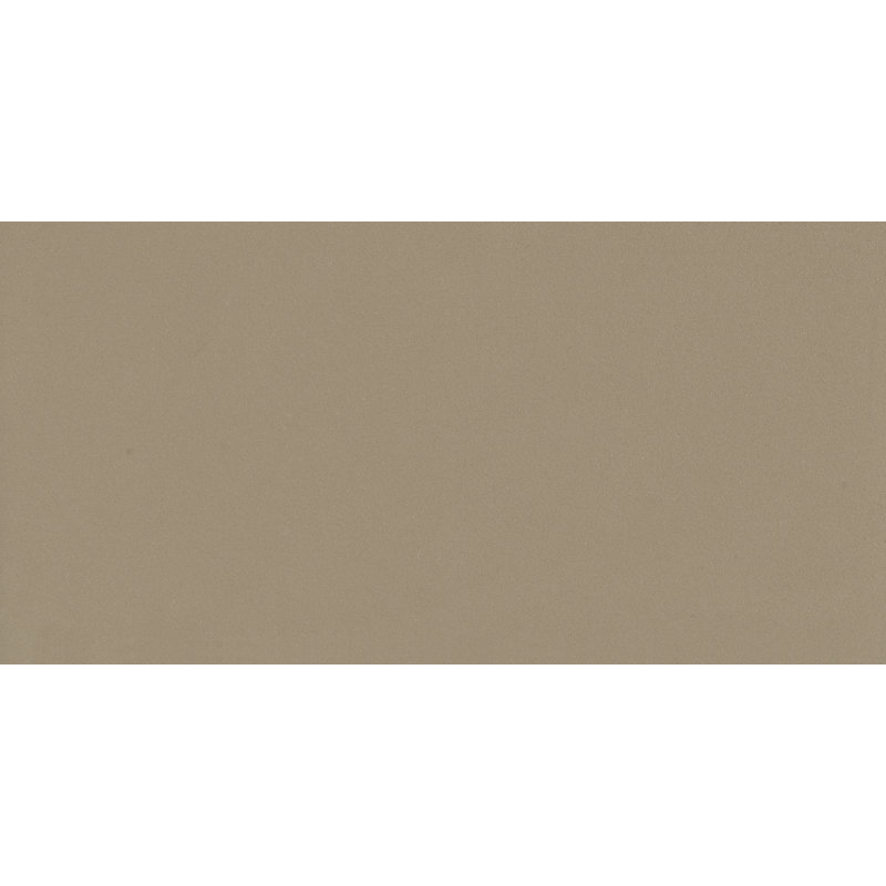 Element 12" x 24" Porcelain Concrete Look Wall & Floor Tile, Latte