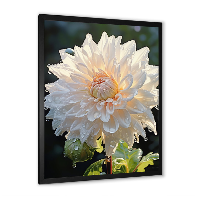 A Dance Of White Dahlias Florescence, reproduction d'art sur toile, Cadre simple noir, H 20 po x l 12 po x P 1 po