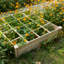 Ensemble de lit de jardin surélevé Outsunny