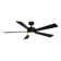Wynd 5-Blade Outdoor/Indoor Smart Ceiling Fan with LED Light Kit Included and Remote Control Included