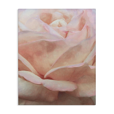 «Soft Soft Rose Petals» par Alonzo Saunders