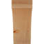 Attelle impériale du genou-31229318-29309855-31229277
