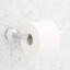 Lentz Wall Mounted Pivoting Toilet Paper Holder-1966695260