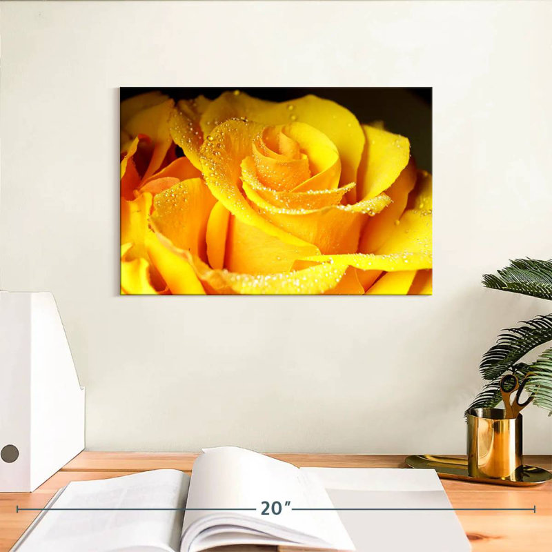 Rose jaune Harnek Dewy, H 8 po x l 12 po
