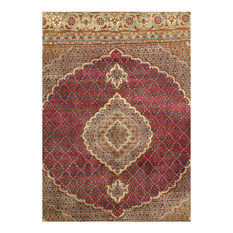 Scarlytt Oriental Area Rug in Red