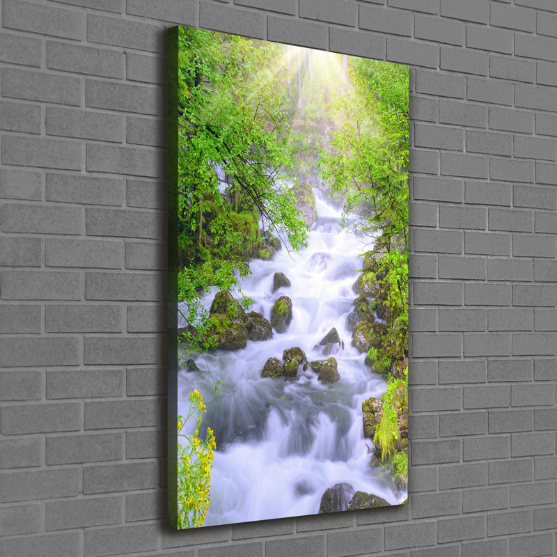 Audrye Mountain Stream - Wrapped Canvas Print