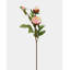 Soft Yellow Peony 19"-268507330