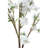 Arrangement