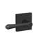 Dempsey Non-Turning Lever with Collins Trim-27776899