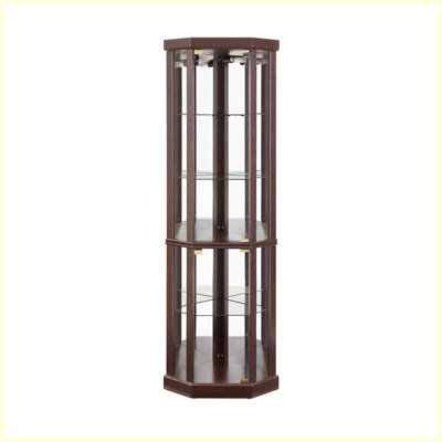 Vitrine de coin moderne pour le salon