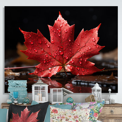 " Canada Canadian Pride III "