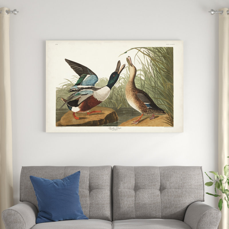 Pl 327 Shoveller Duck, H 32 po x l 48 po