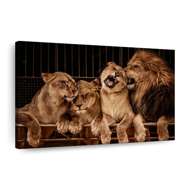 Pride of Lions - reproduction sur toile tendue, H 8 po x l 12 po x P 1 po