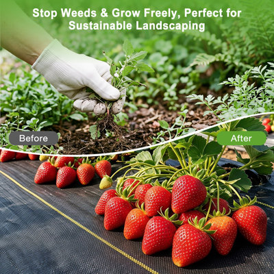 300' L x 3' W Double Layer Weed Control Fabric,Heavy Duty PP Weed Barrier Garden Landscape Fabric,Reduces Evaporation,Easy Cut,Good breathability